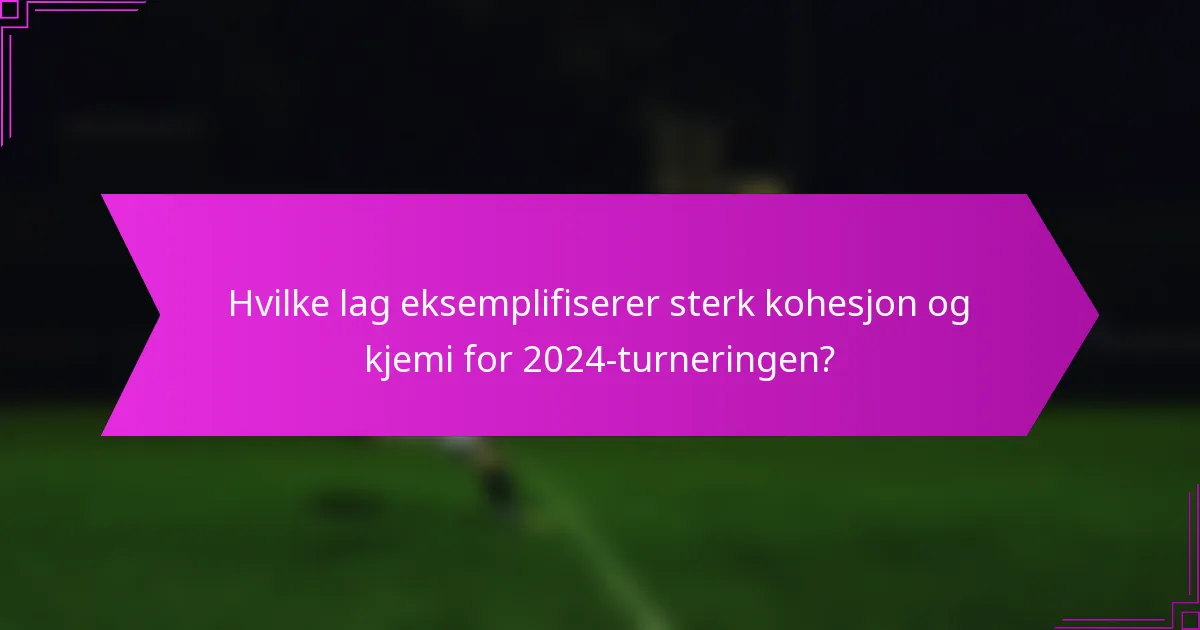 Hvilke lag eksemplifiserer sterk kohesjon og kjemi for 2024-turneringen?